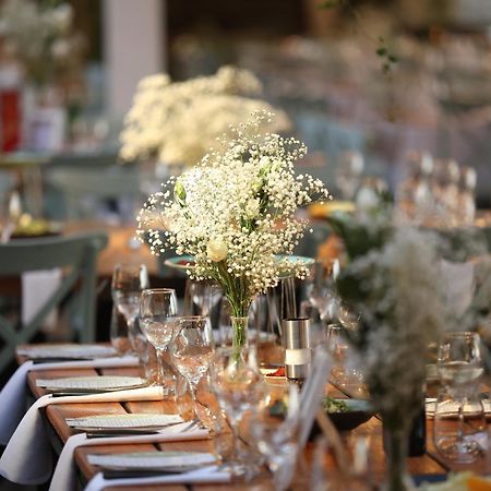 Garden Hotel Boutique & Events ハイファ エクステリア 写真